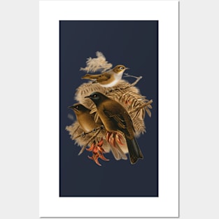 3D Birds Posters and Art